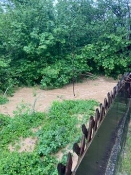 Poplava zaradi neurejenosti sosednje brežine