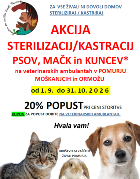 Akcija sterilizacij in kastracij DZŽP